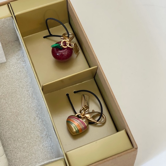 Coach Boxed Corner Zip Wristlet In Signature Leather With Apple & Heart Charms - Picture 15 of 15